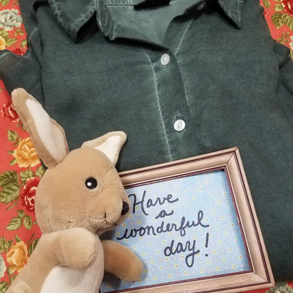 a.n.a. Olive Green Hi-lo Peplum Long Sleeve hi-lo style Blouse shirt top size XS - Picture 8 of 8